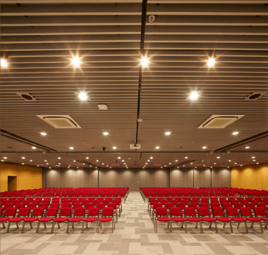 Cielo Raso Baffle • Hunter Douglas Architectural