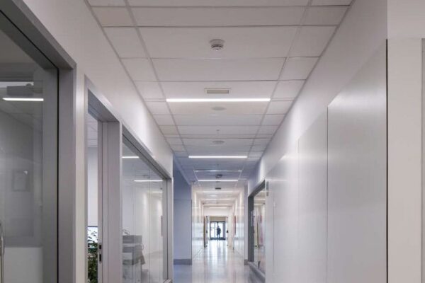 cielos de fibra mineral